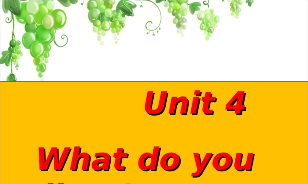 Unit4Whatdoyoucollect课件2