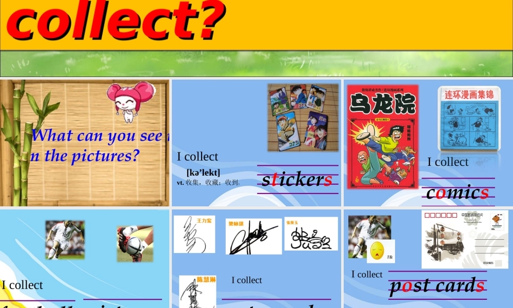 Unit4Whatdoyoucollect课件2