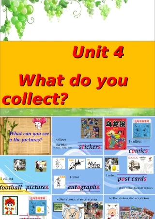 Unit4Whatdoyoucollect课件2