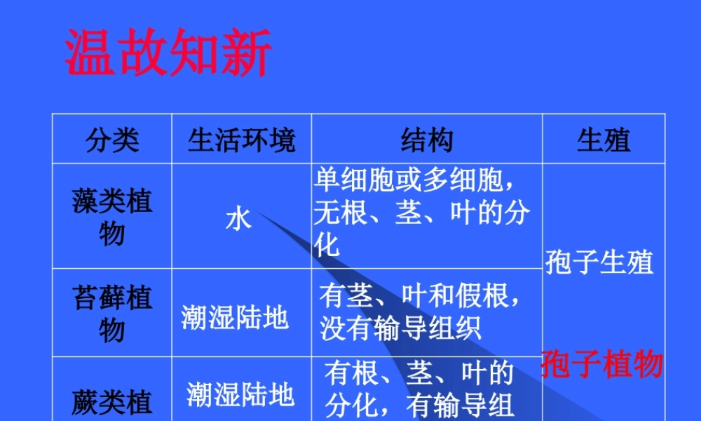 初一生物《种子植物》课件[1]