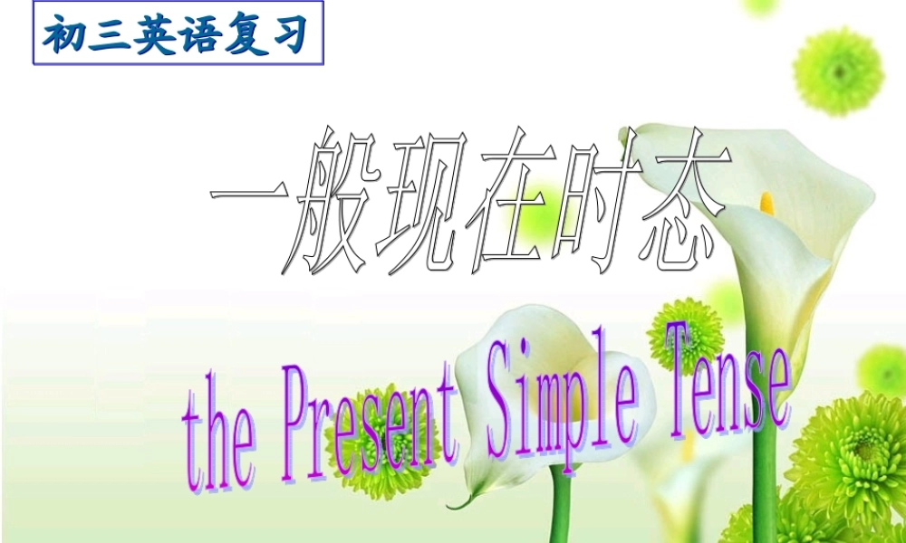 一般现在时课件