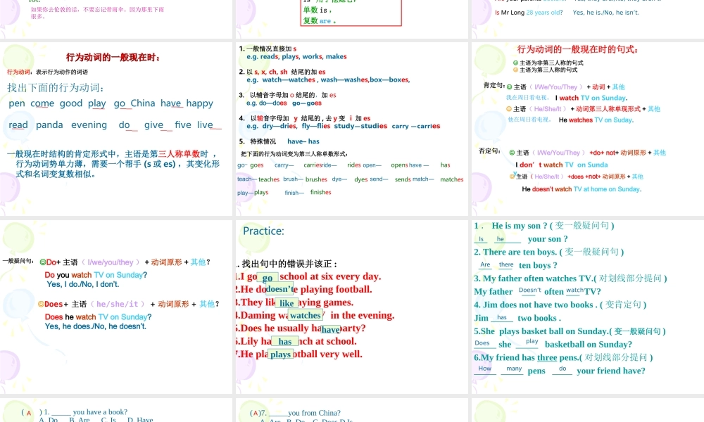 一般现在时课件