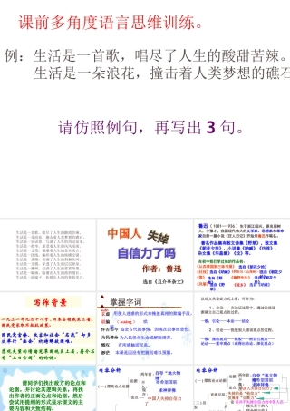 中国人失掉自信力了吗ppt