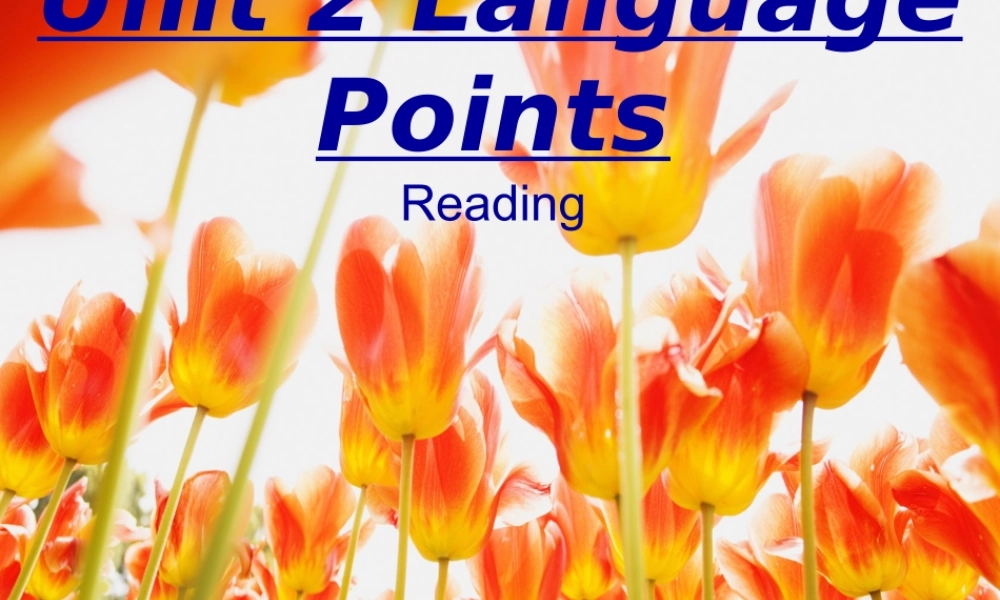 unit2languagepoints