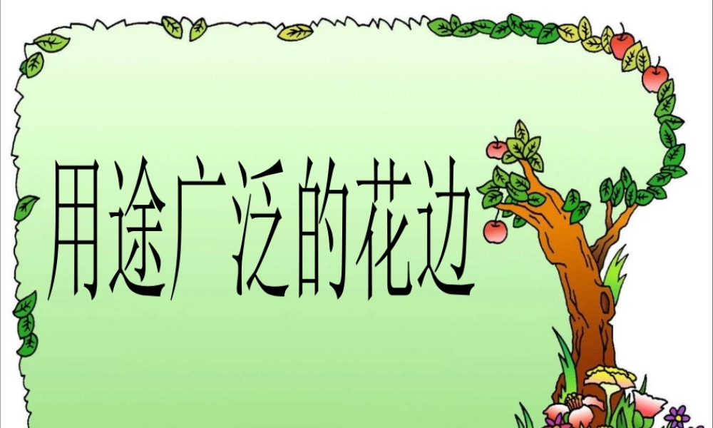 《用途广泛的花边》课件