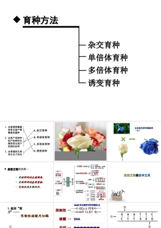 基因工程201311