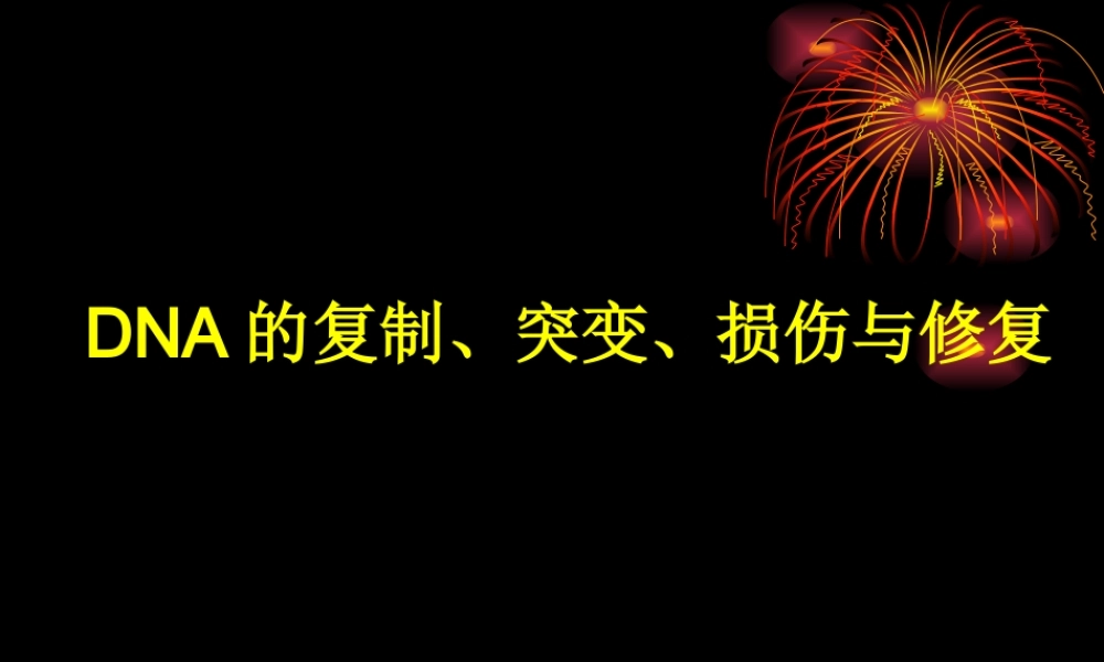 DNA的复制、突变、损伤与修复
