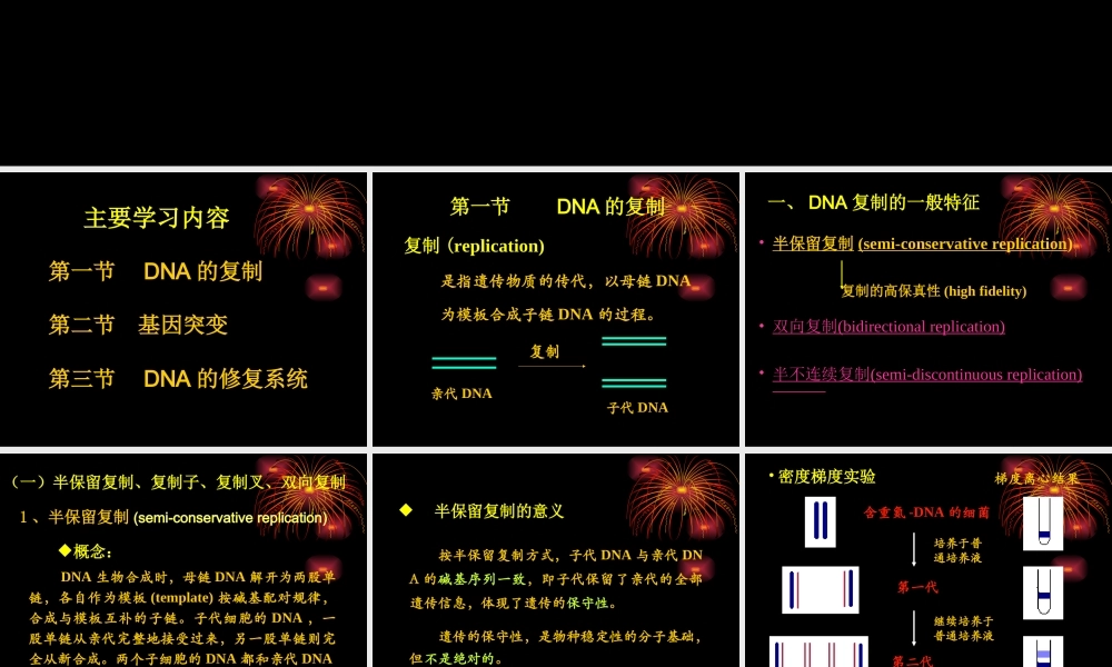 DNA的复制、突变、损伤与修复