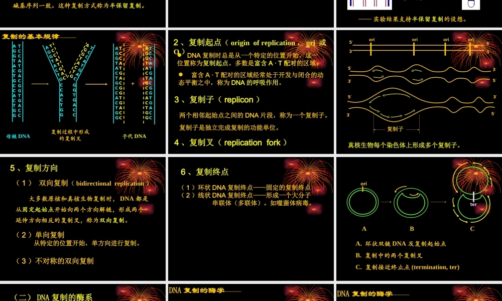 DNA的复制、突变、损伤与修复