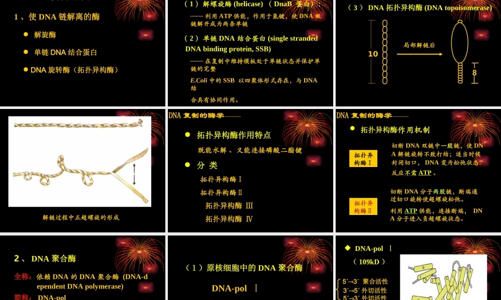 DNA的复制、突变、损伤与修复