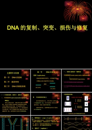 DNA的复制、突变、损伤与修复