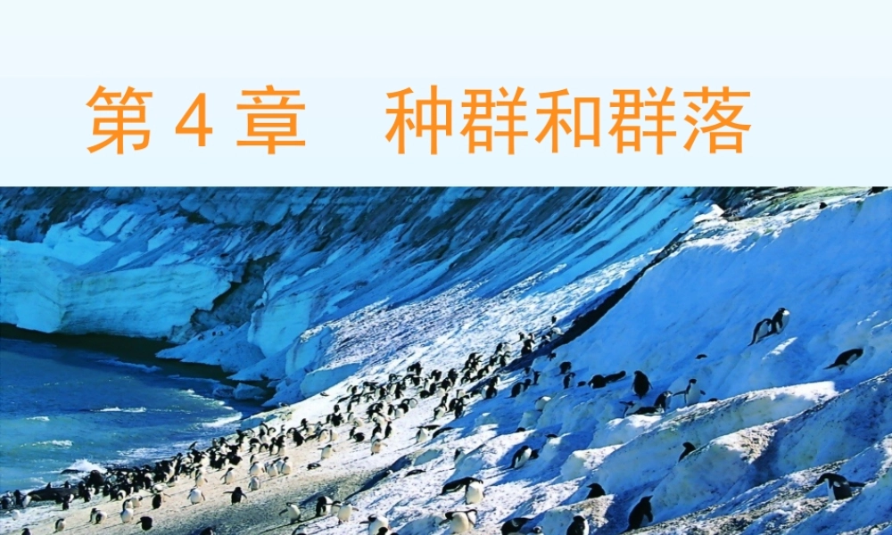 种群的特征-(3)