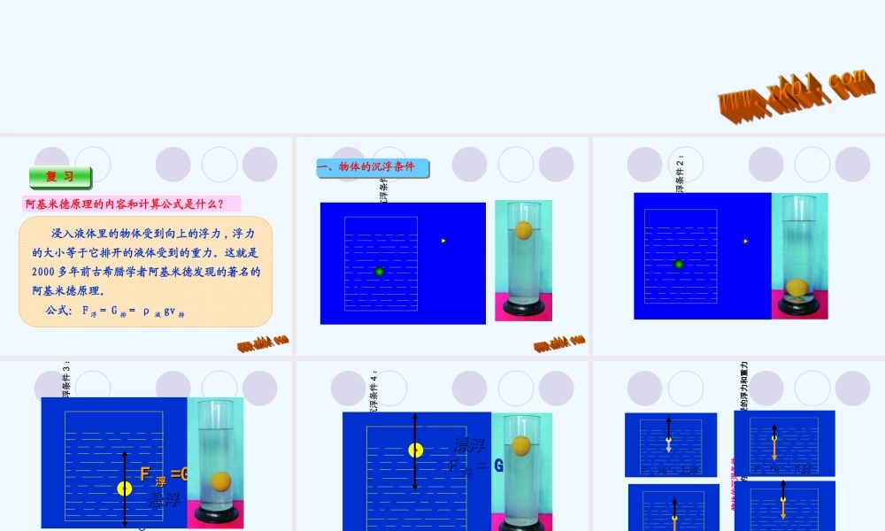 10.3物体的沉浮条件及应用