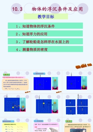 10.3物体的沉浮条件及应用