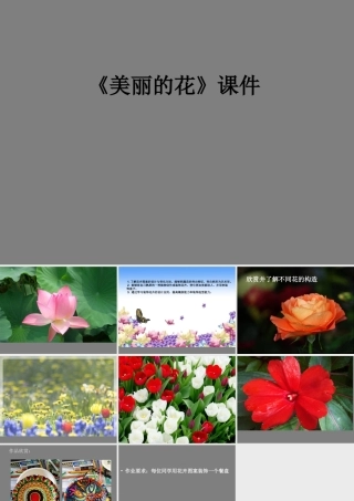 《美丽的花》课件2
