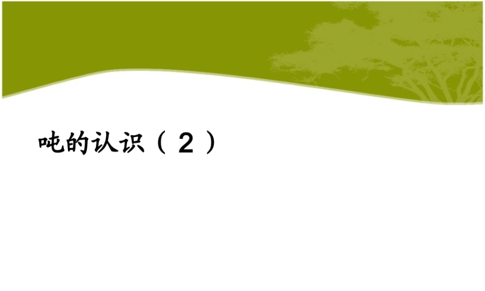 3.7--吨的认识(2)