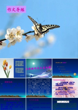 作文指导：让你的作文文采飞扬