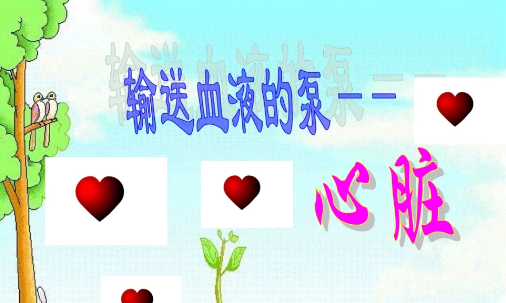 第四章第三节输送血液的泵——心脏课件