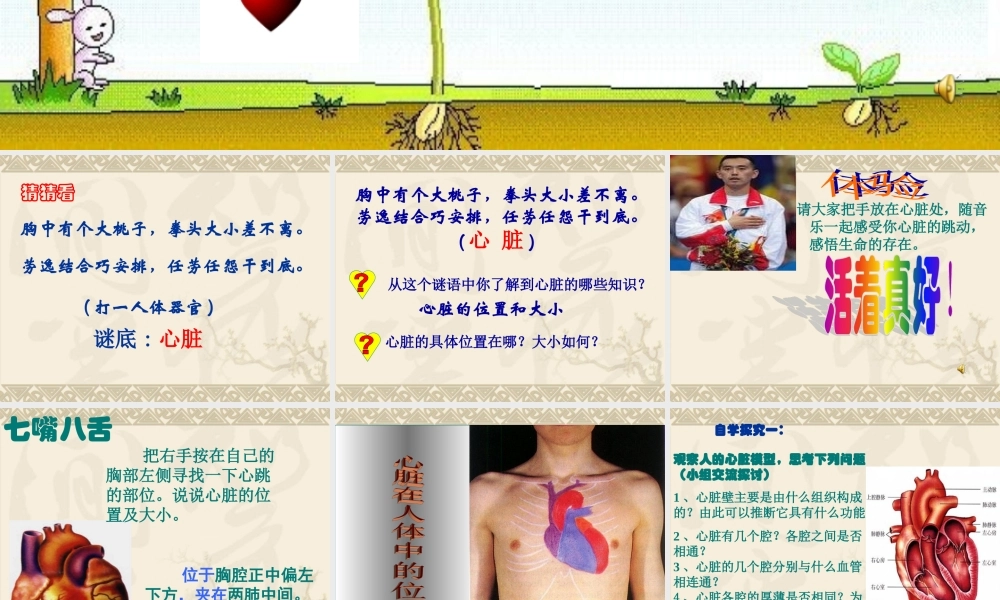 第四章第三节输送血液的泵——心脏课件