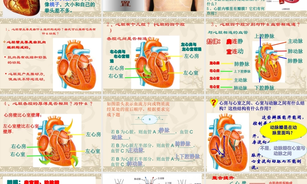 第四章第三节输送血液的泵——心脏课件