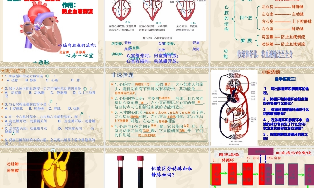 第四章第三节输送血液的泵——心脏课件