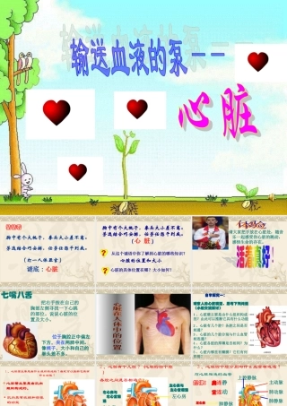 第四章第三节输送血液的泵——心脏课件
