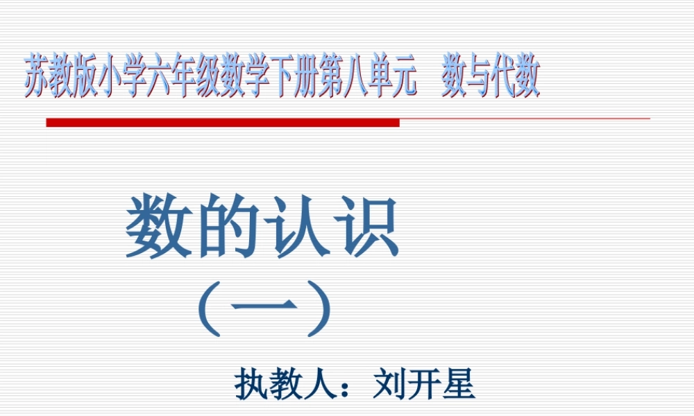 数与代数第一课时课件