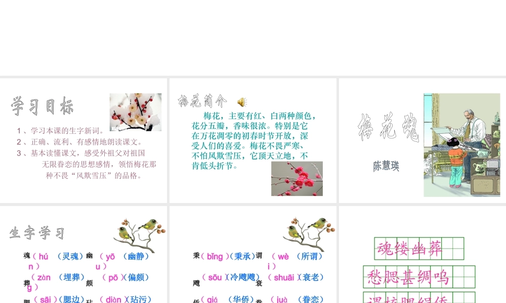 《梅花魂》课件6