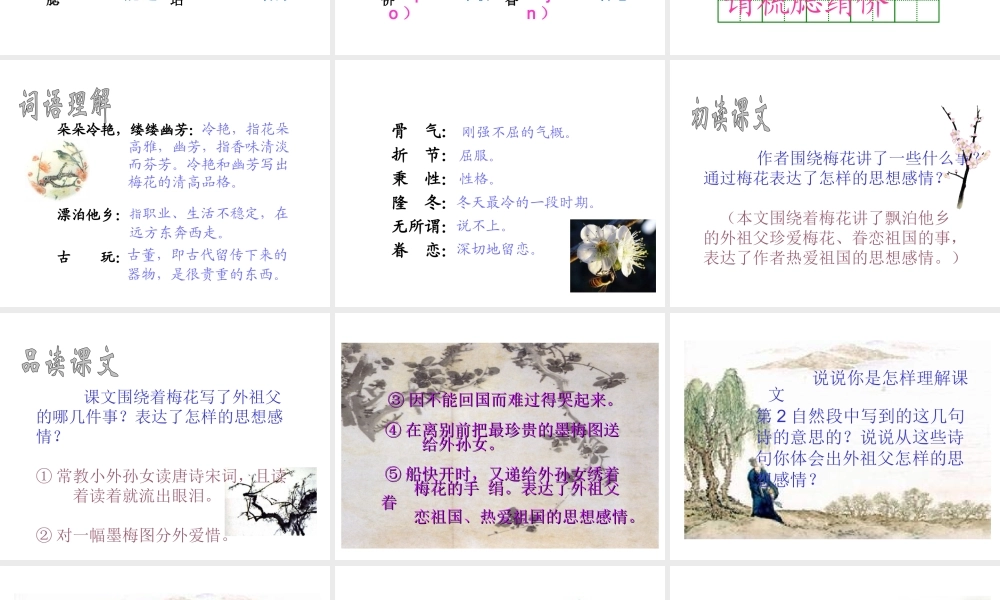 《梅花魂》课件6