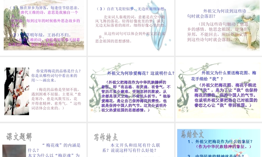 《梅花魂》课件6