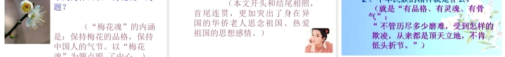 《梅花魂》课件6