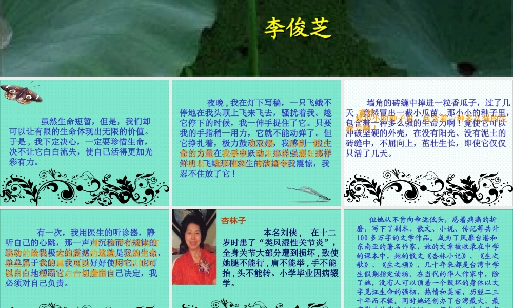 《生命生命》课件