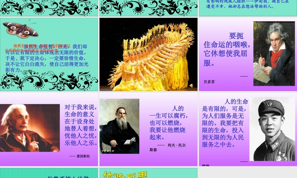 《生命生命》课件