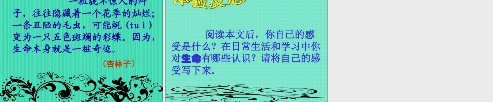 《生命生命》课件