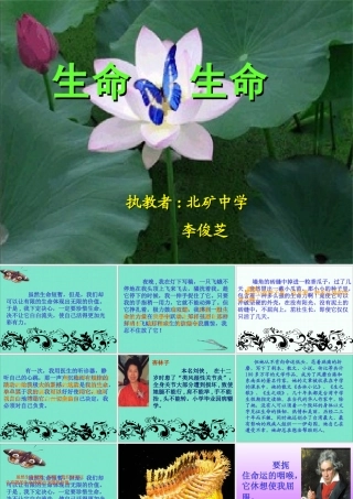 《生命生命》课件