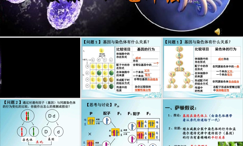 毛炜强——基因和染色体