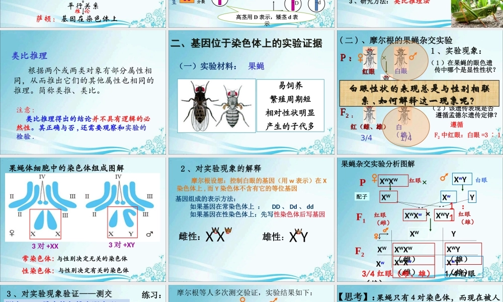 毛炜强——基因和染色体