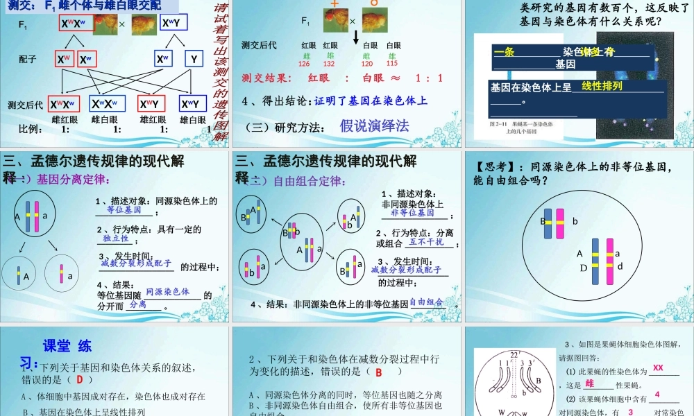 毛炜强——基因和染色体