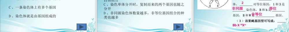 毛炜强——基因和染色体