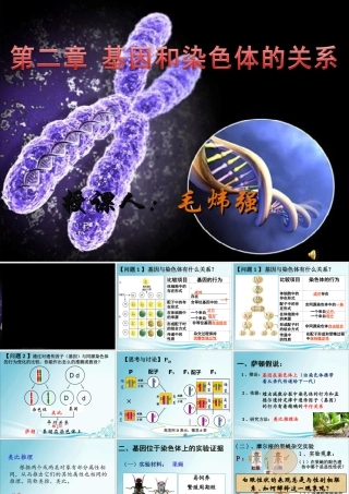 毛炜强——基因和染色体