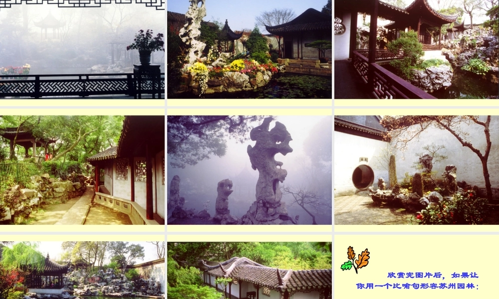 13、苏州园林----叶圣陶