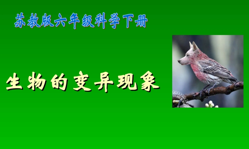 《生物的变异现象》课件