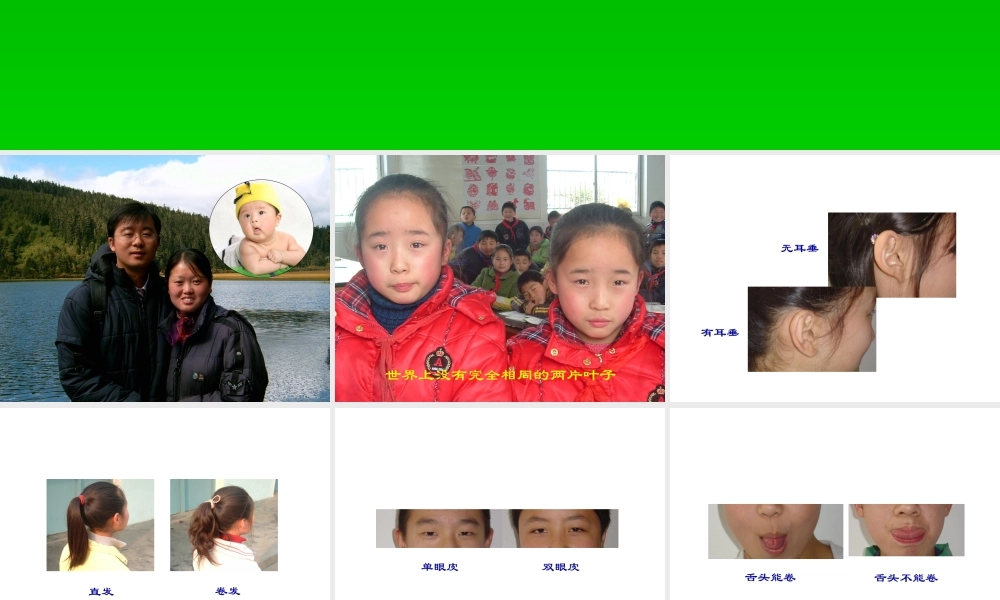 《生物的变异现象》课件