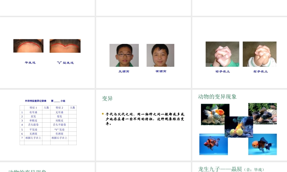 《生物的变异现象》课件