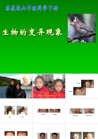 《生物的变异现象》课件