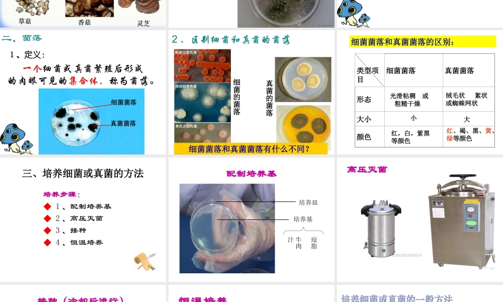 第一节-细菌和真菌的分布