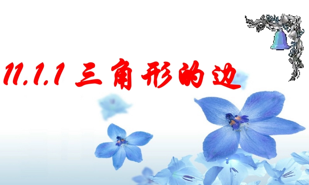 11.1.1--三角形的边.1-三角形中的边课件正式