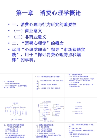 消费者心理与行为学