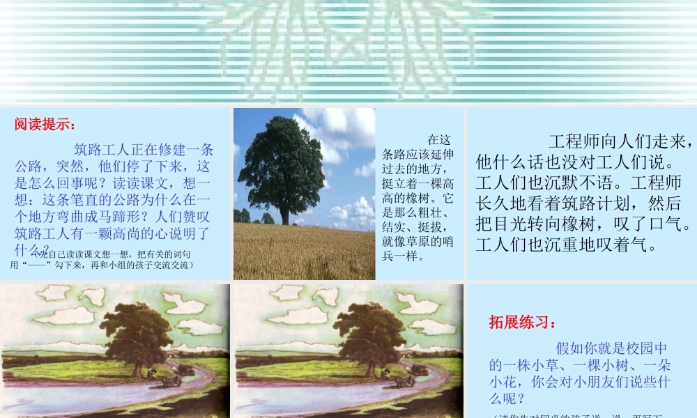 新课标人教版第六册语文路旁的橡树优秀课件下载