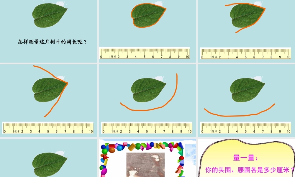 小学数学人教2011课标版三年级周长的认识-(10)